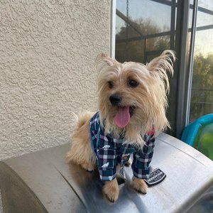 Meet your Posher, Rosa